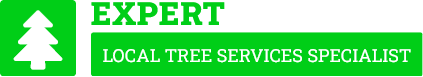 Kerikeri Tree Services - Tree Removal Kerikeri